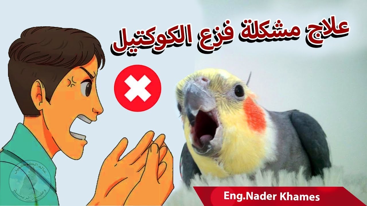 اسباب فــزع الكوكتيل الشديد وطريقة علاجها