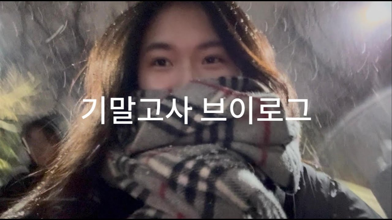 기말고사 vlog (feat.첫눈,로이킴콘서트)