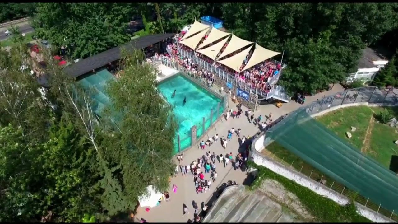 Ніредьгаза Зоопарк - Nyiregyhaza Animal Park