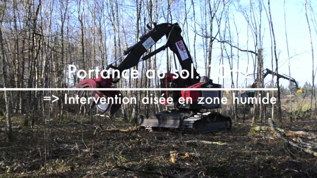 Abattage bois énergie BIOVALO