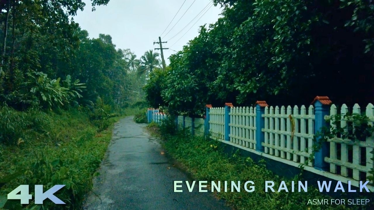Dusk Rainstorm Ambience | Dark Evening ASMR Walk with & Lightning | ASMR for Focus & Calm