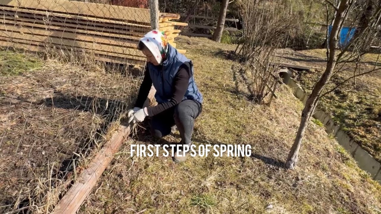 A Simple Day in the Village | Cooking, Nature and Garden Work