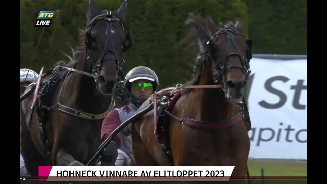 HOHNECK 1.08.9 - 1609  ELITLOPPET 2023