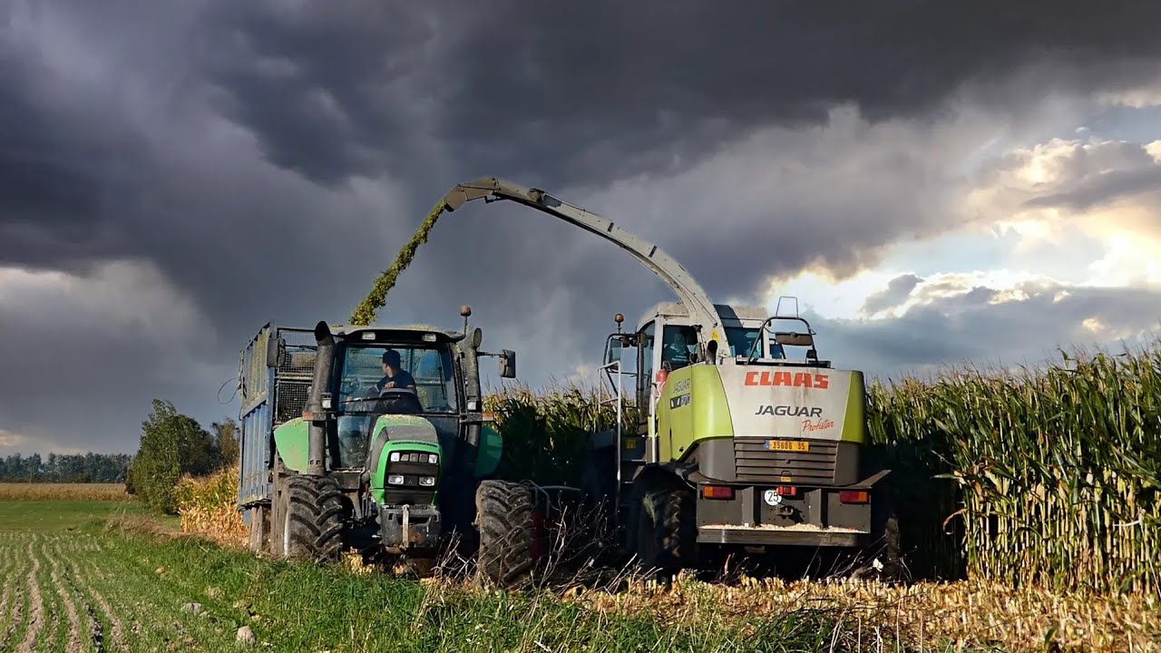 Kukurydza Na Kiszonkę 2021 w GR Osiński!|Usługi Rolnicze Fiet|Agro Koseś