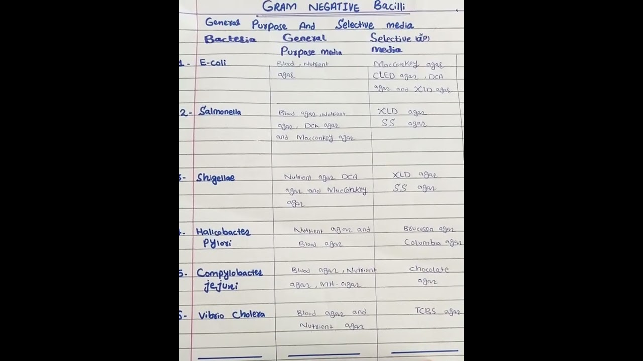 gram negative bacili  general purpose media and selective media