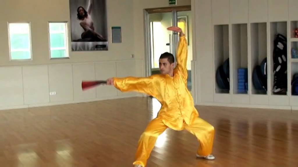 taichi Abanico, taiji shan