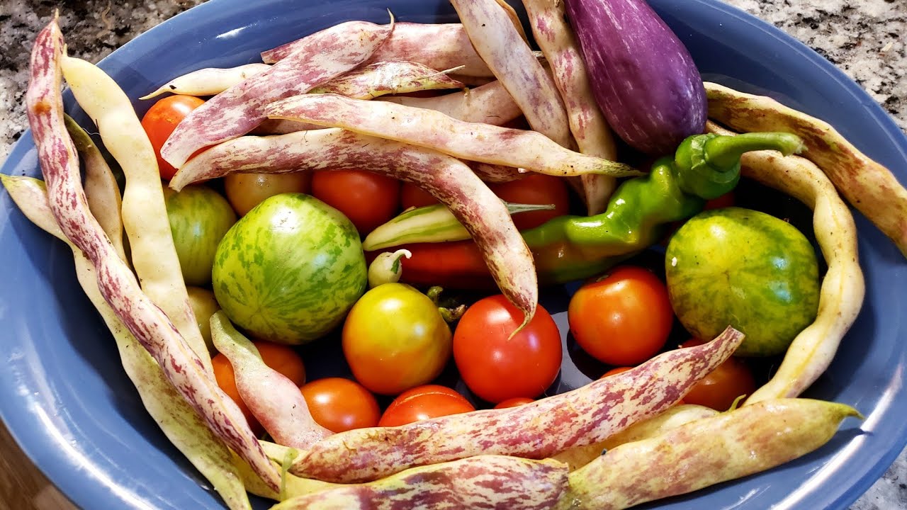 Ep. 9 How to grow vegetables using the winter sowing process