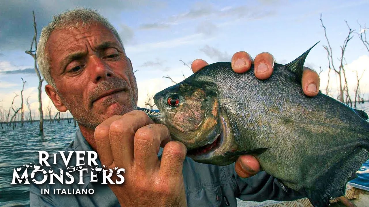Jeremy Wade a Caccia di PIRANHA! - River Monsters ITA - S01 E01