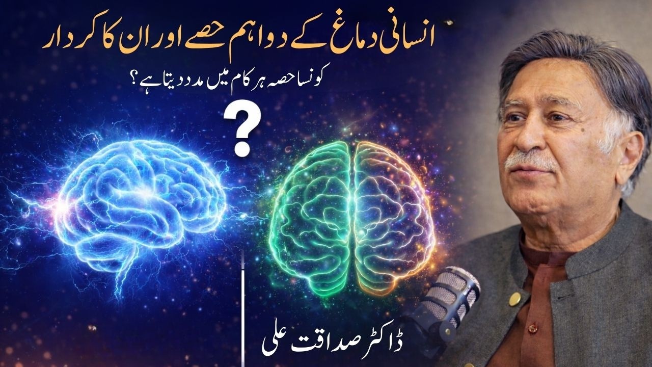 How the Brain Works: Two Main Parts Explained | Dr.Sadaqat Ali