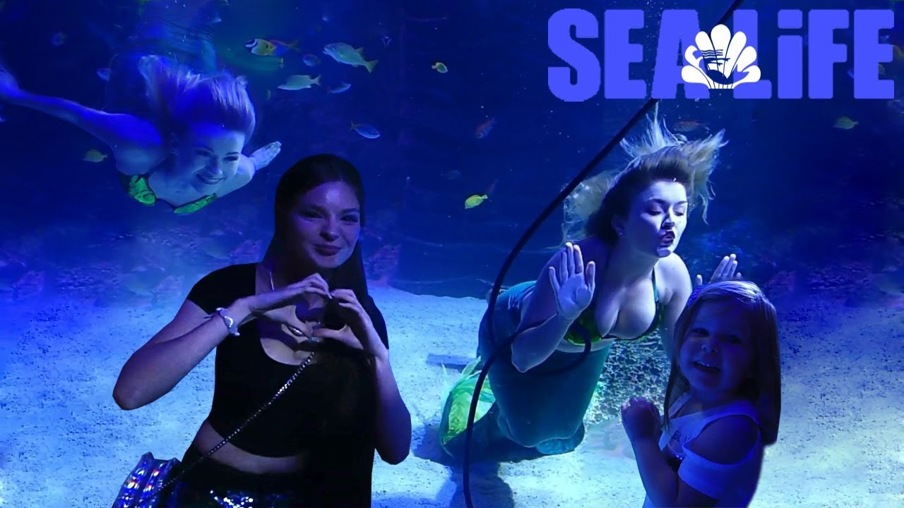 Sea Life: Mermaids from Weeki Wachee Springs Cheyenne, Julia, and Paisley Oct 2018
