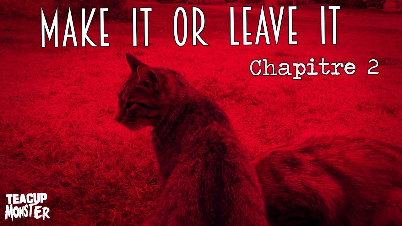 #2 Make It or Leave It (Le Making-of de l'album)