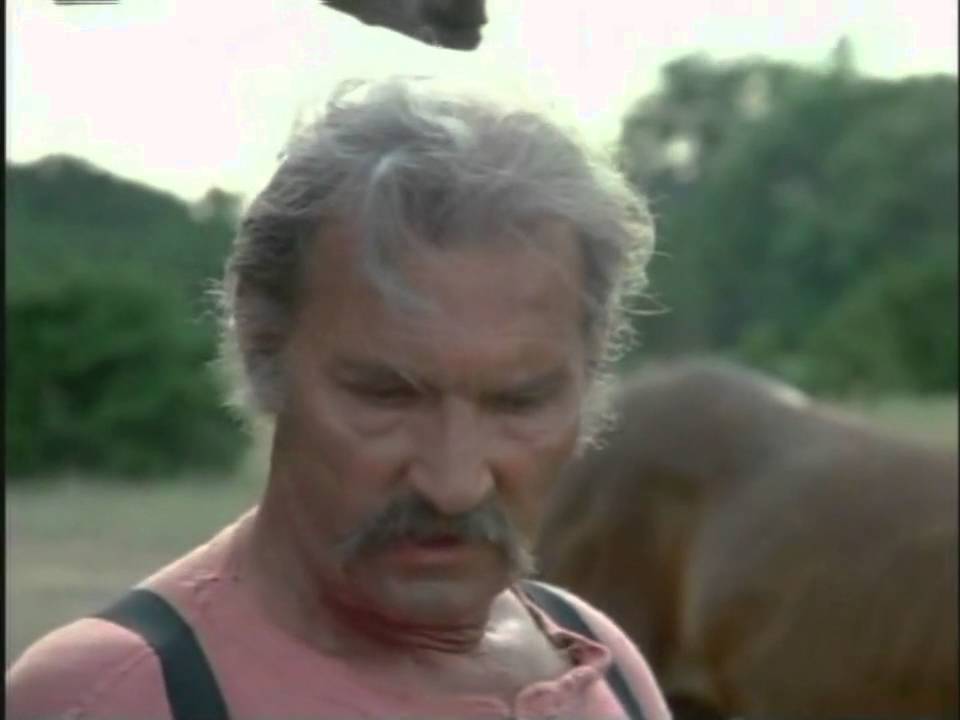 Red Headed Stranger  Western 1986  Willie Nelson, Morgan Fairchild & R G  Armstrong