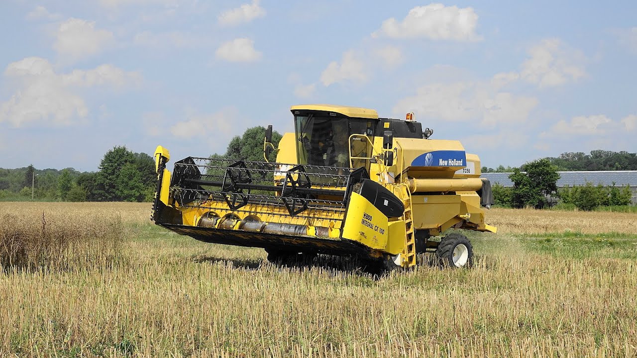 New Holland TC56 || Akcja Rzepak 2021 ||