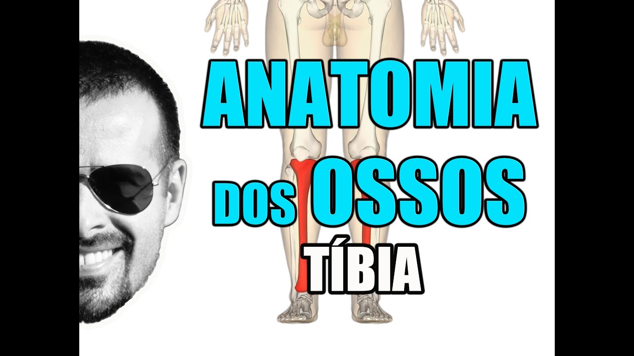 Acidentes ósseos da Tíbia - Sistema Ósseo/Esquelético - VideoAula 066