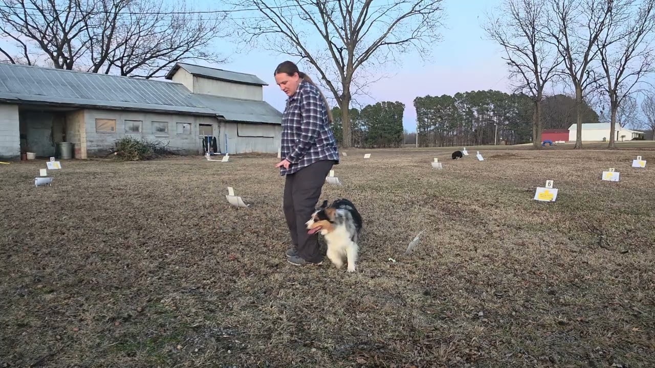 Winky Rally Excellent Course 5