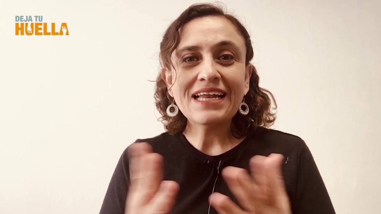 ¿Cuál es el significado de la palabra 