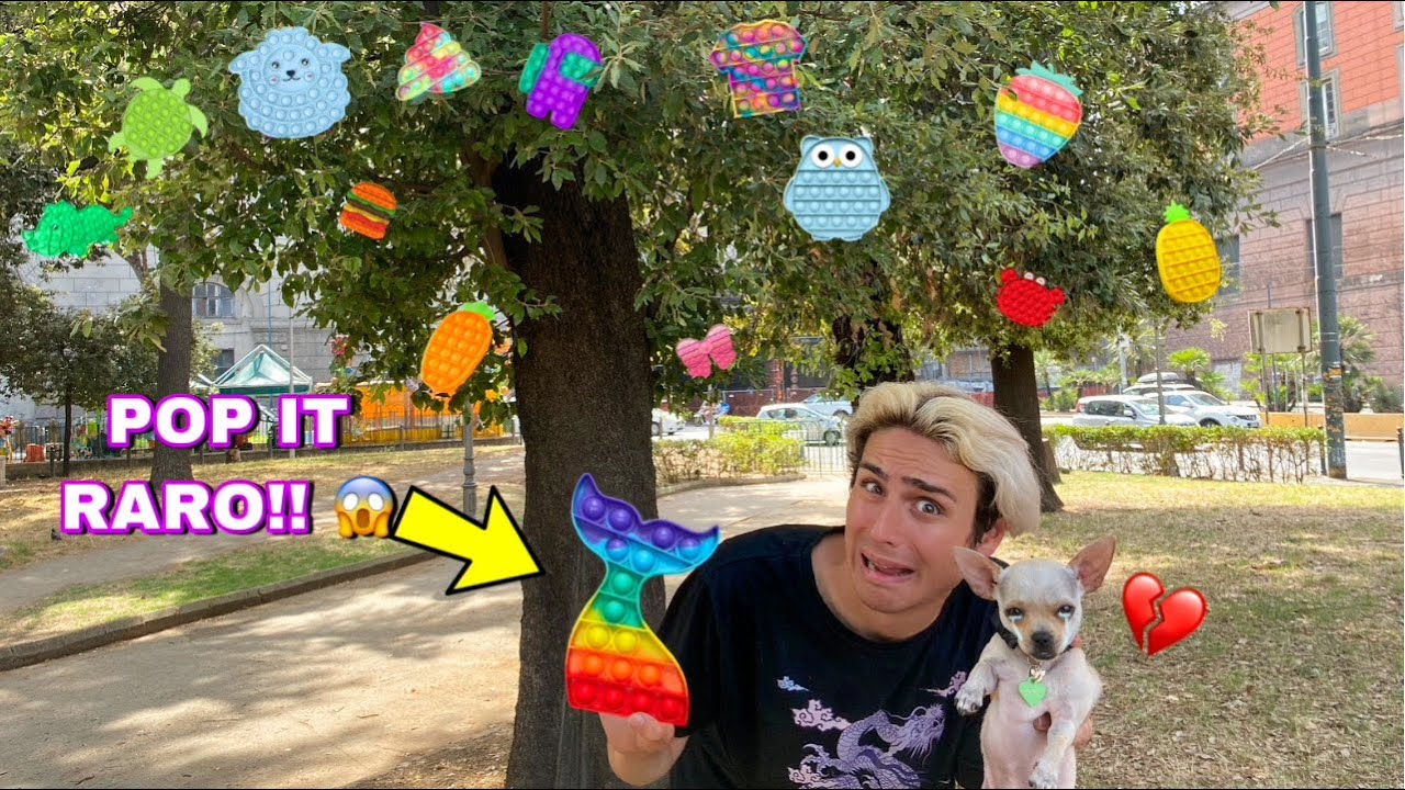 IL NOSTRO CAGNOLINO TROVA DEI POP-IT INTROVABILI SUGLI ALBERI!! *foresta strana*