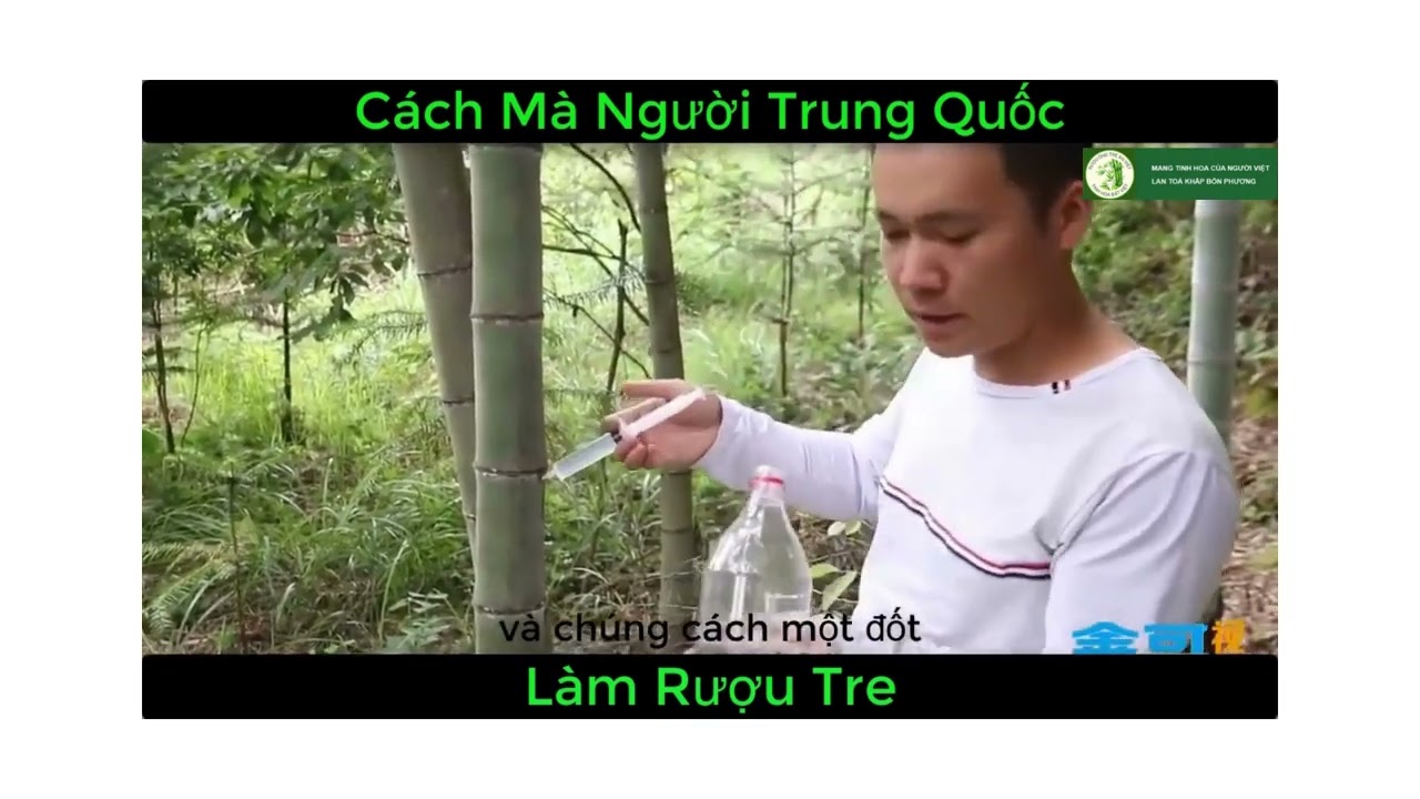 C&aacute;ch l&agrave;m rượu ống tre Trung Quốc
