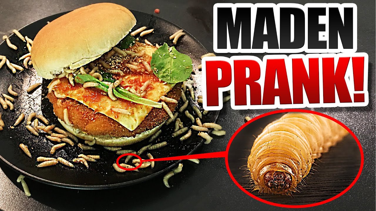 MADEN PRANK!
