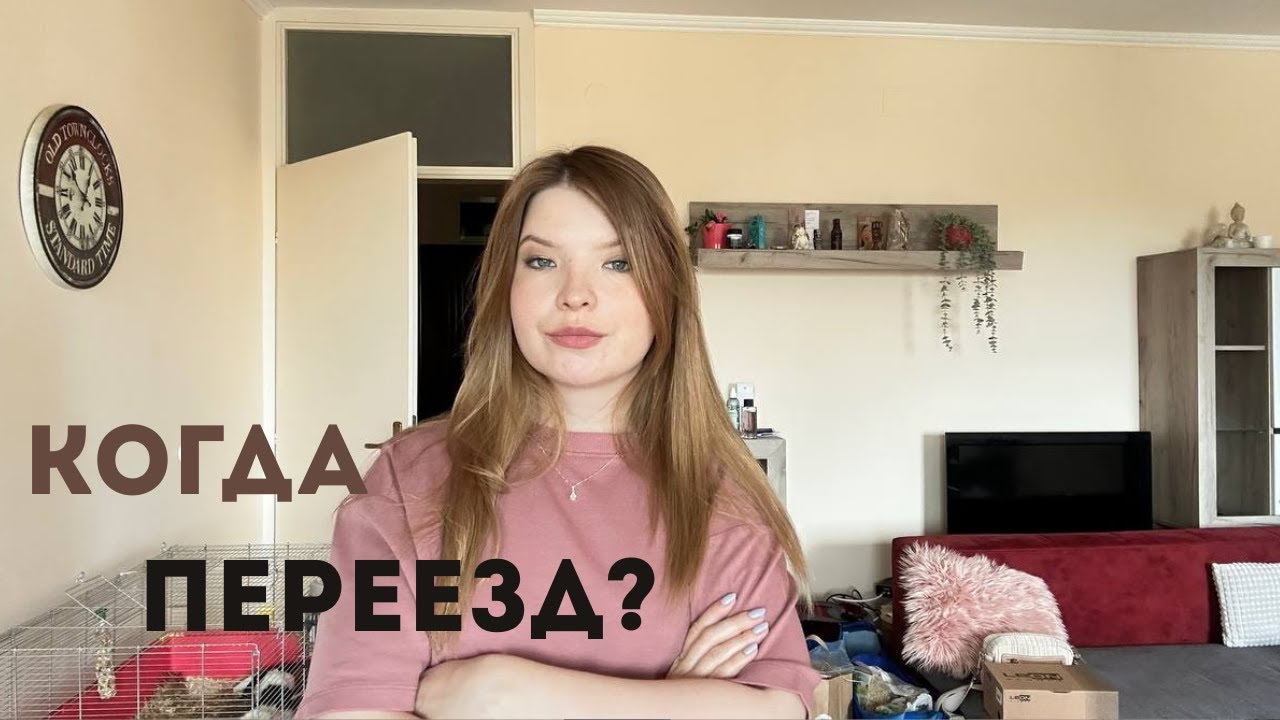 ЧТО БЫЛО ДАЛЬШЕ С КВАРТИРОЙ В НОВИ-САДЕ? КОГДА ПЕРЕЕЗД?