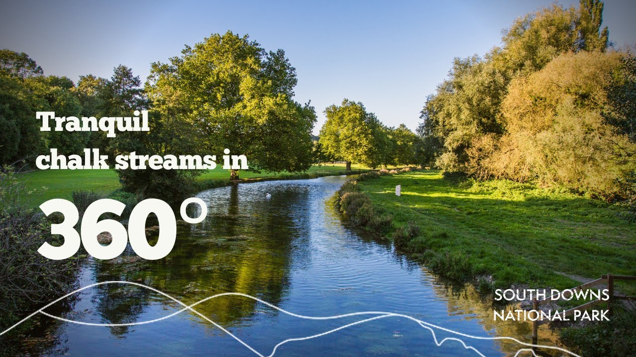 South Downs chalk streams in 360 degree video