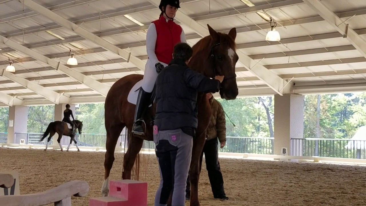 Mary Wanless Clinic Day 1, Lauren K Doyle riding