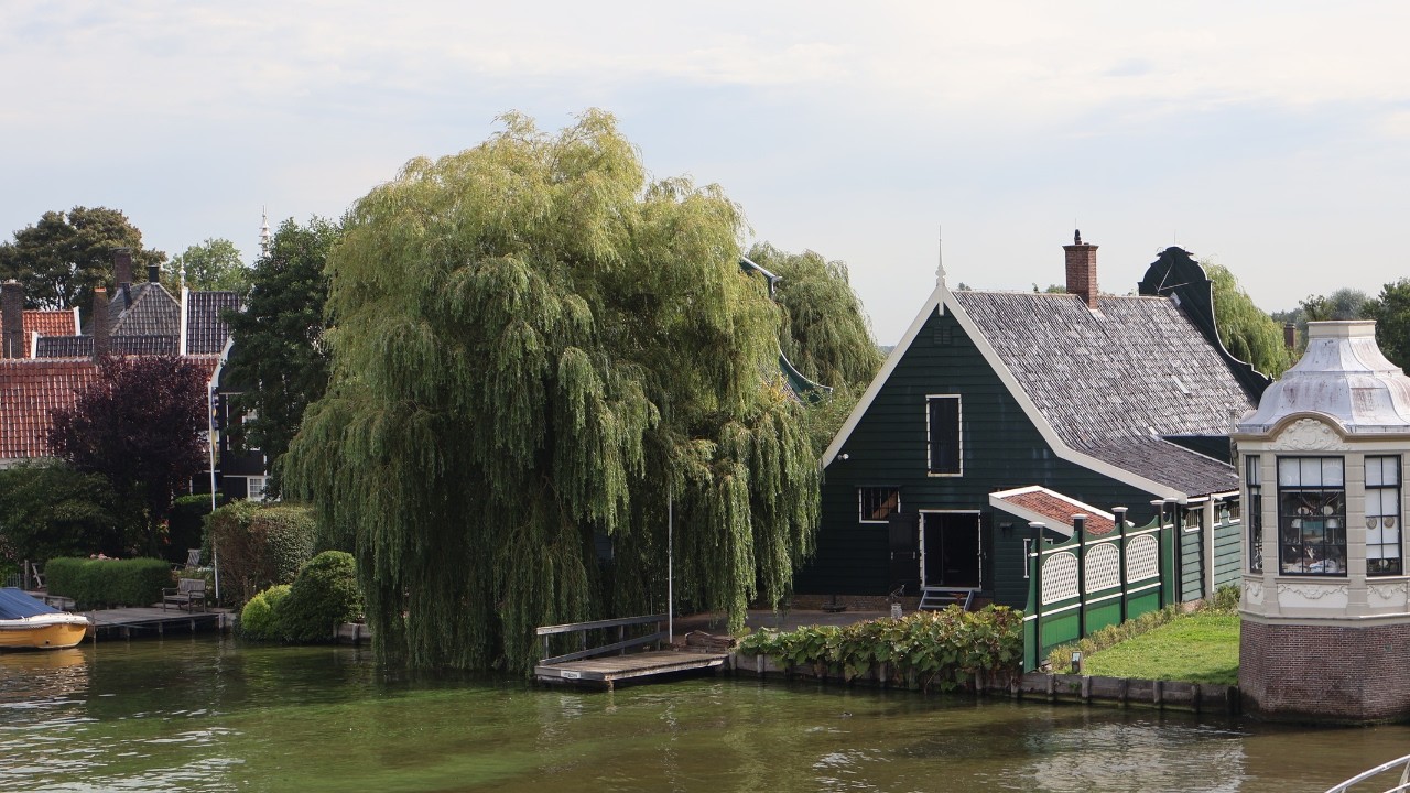 a day at the mills