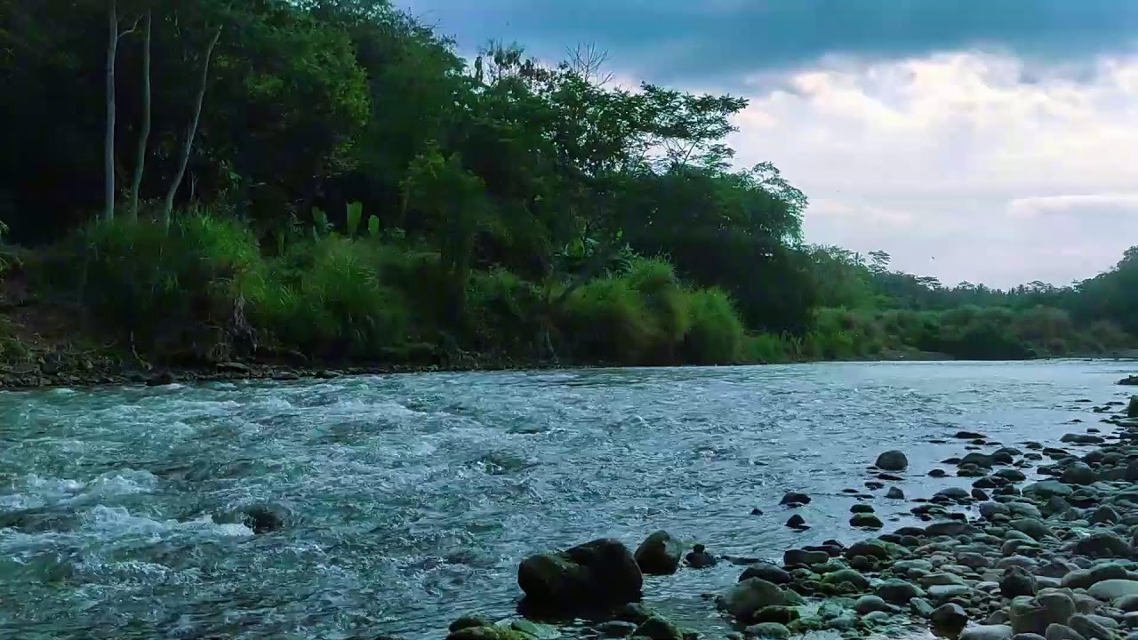 Soft Water River Sounds  Natural Relaxation  Sleep Therapy
