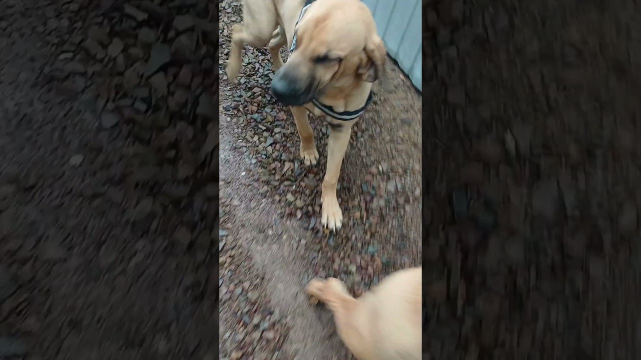 Ruszamy w trasę❤️❤️❤️❤️❤️❤️