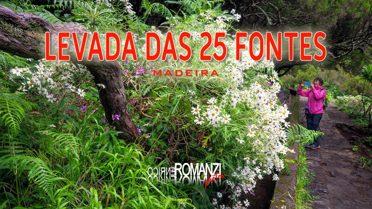MADEIRA - LEVADA DAS 25 FONTES (MADERA)