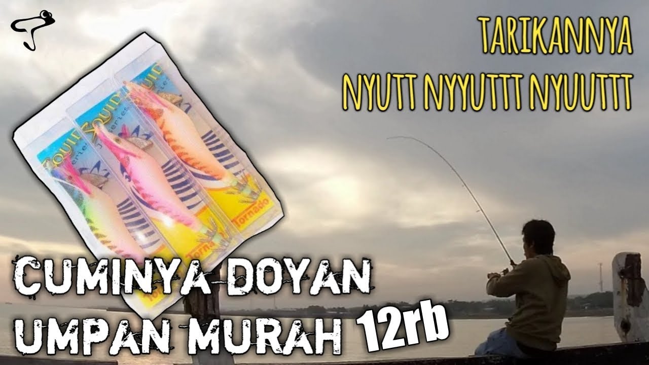 mancing cumi di saat matahari terbenam | eging squid on ultralight fishing