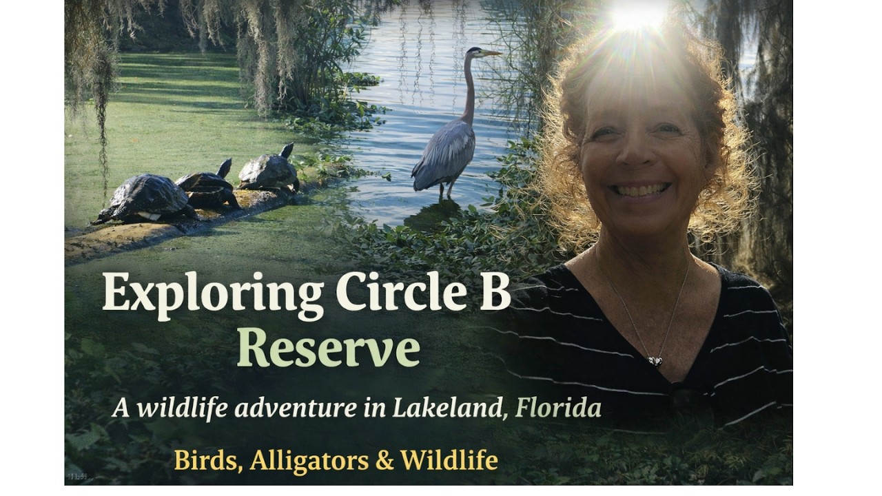 Off the Beaten Path Florida Lakeland Wildlife Hike