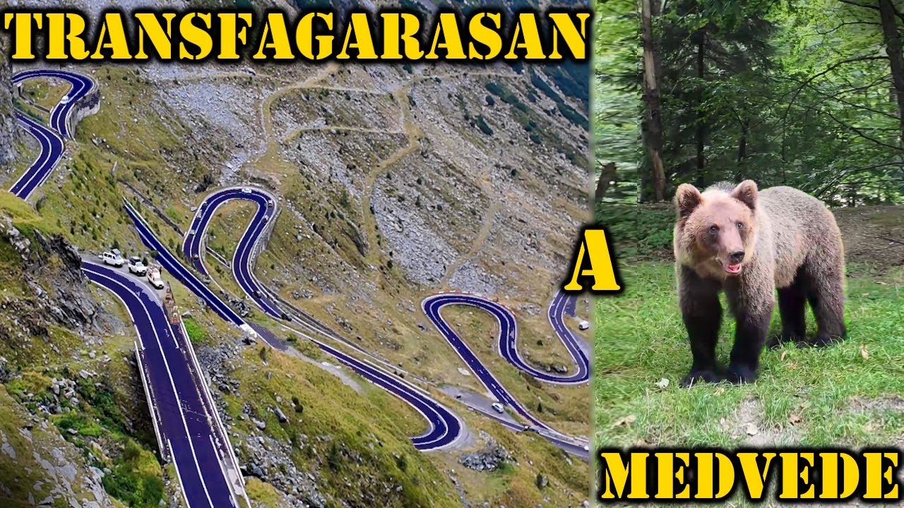 Najkrajšia Cesta Európy 🚗 TRANSFAGARASAN a MEDVEDE 🐻 Ivan Donoval 🐻 Rumunsko 🚗 Vrakmania