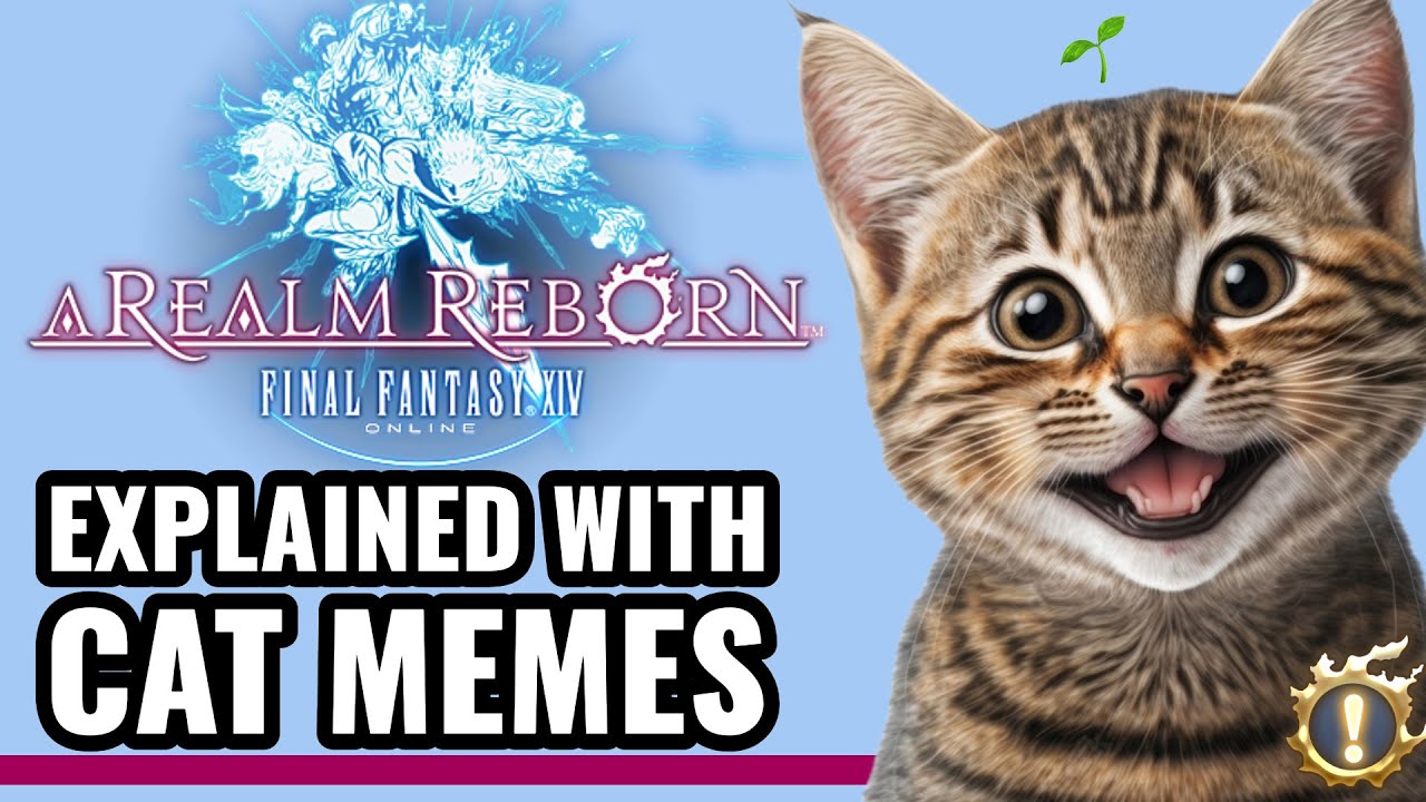 A Realm Reborn Explained with Cat Memes [FFXIV 2.0]