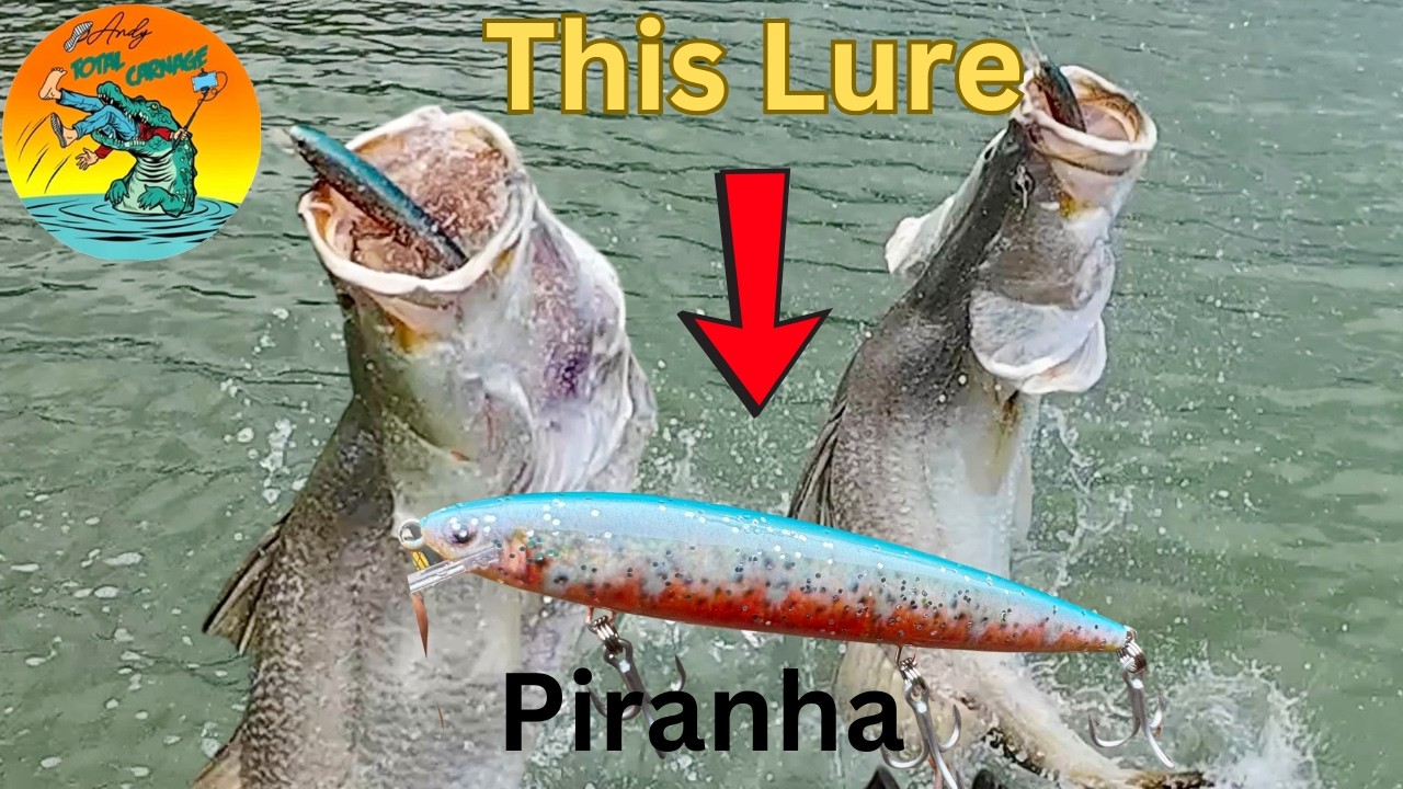 FINNIS RIVER BARRA ON THIS LURE.. NORTHERN TERRITORY