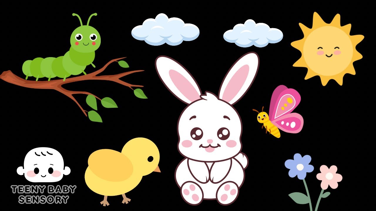 Springtime Animal Friends | Gentle Sensory Video For Babies