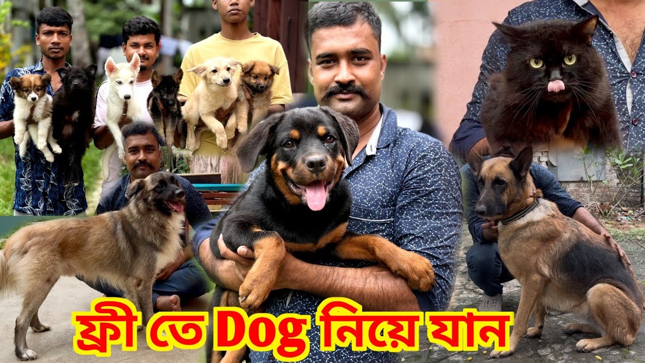 ফ্রী তে Dog নিয়ে যান! Free Adoption Dog. Dog Market in Kolkata. Kolkata Dog Market.