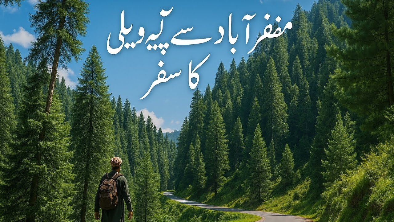 Muzaffarabad To Leepa Valley MiniVlog