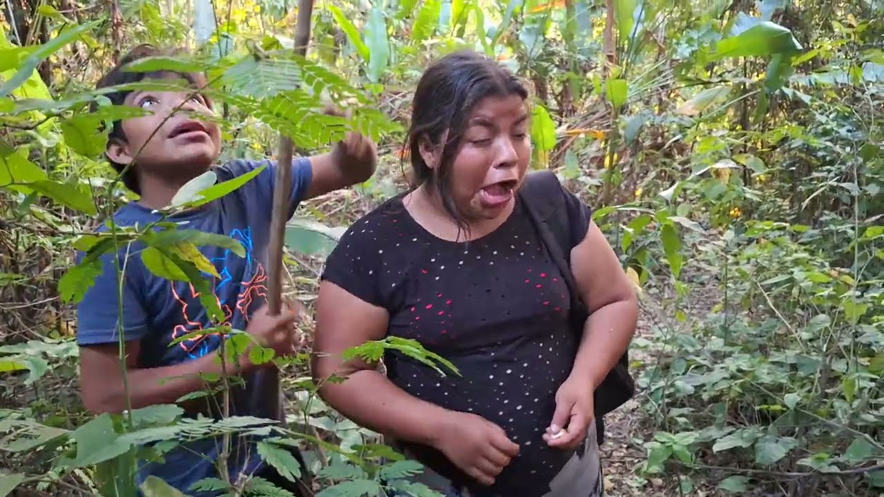 💔Rosi Asustada Ver Caer Andres del Arbol😱Mauricio Git4 del miedo😭