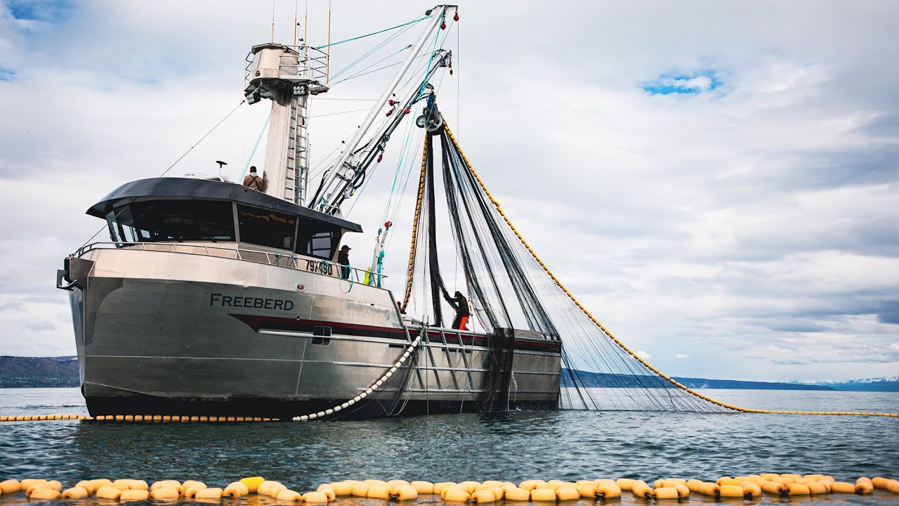 Суда Bay Weld Boats - F/V Freeberd - 58' x 24', полностью изготовленное на заказ кошельковое сейн...