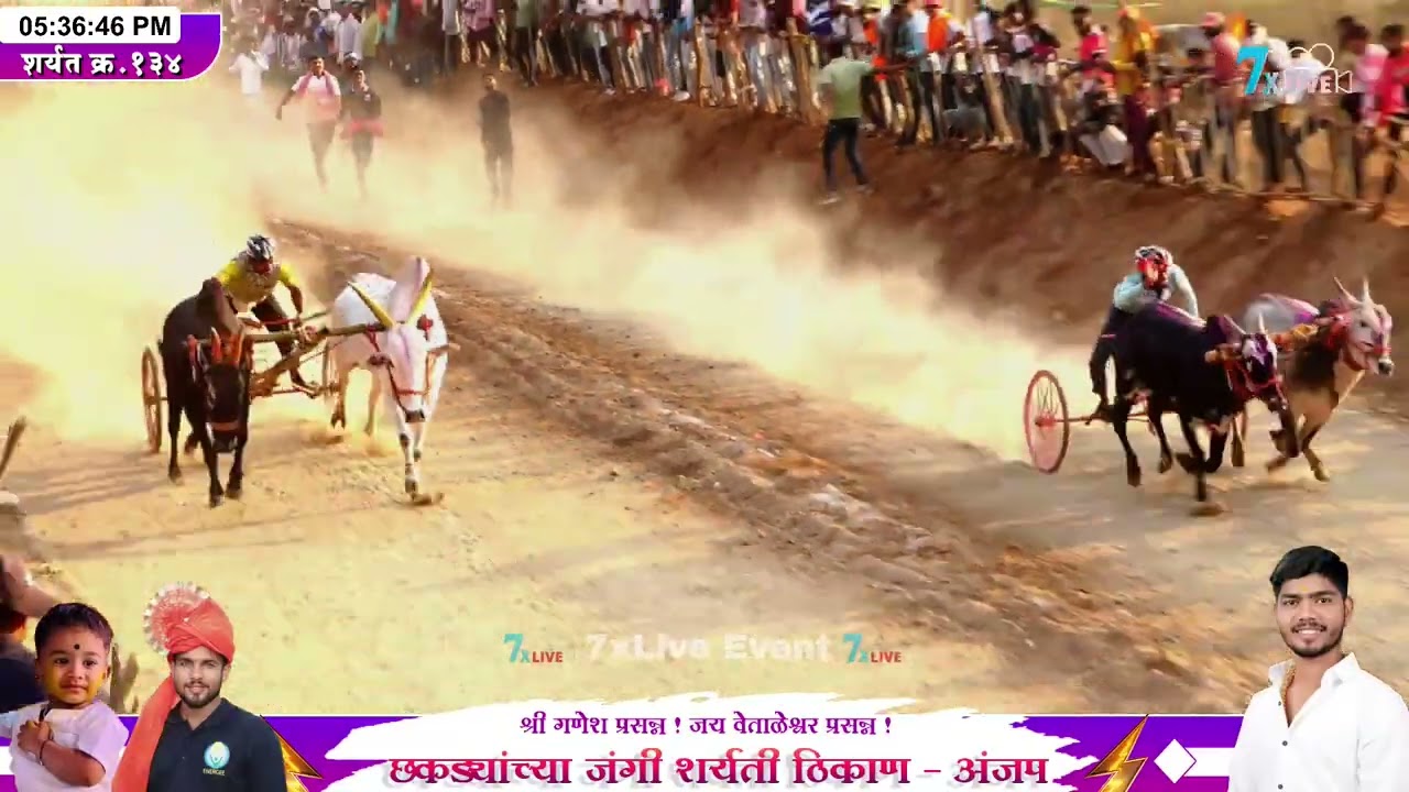 नरेंद्र शेठ गोमारे यांचा घरचा साज  बिनजोड चे मानकरी