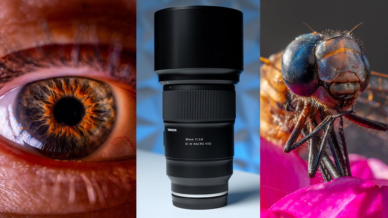 Tamron 90mm F2.8 Macro Review vs Sony & Sigma – Lens Showdown