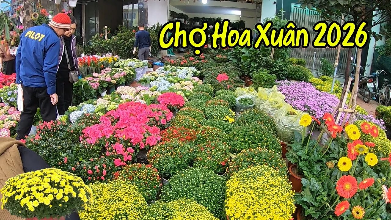 Chợ Hoa Xuân 2026 - Toàn Cảnh Chợ Hoa Tết 2026 Hải Phòng