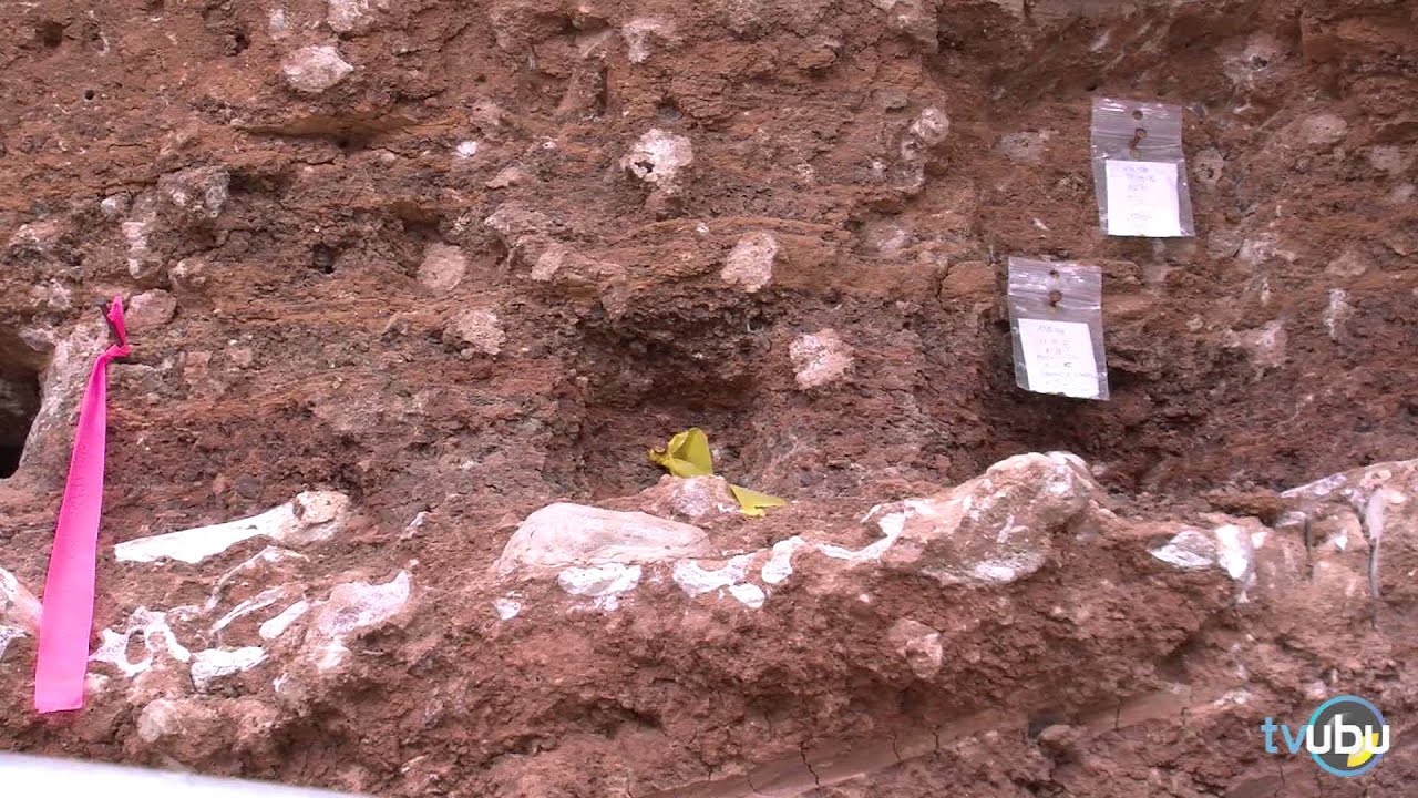 Atapuerca: Diario de los pasos del Homo. Capítulo I