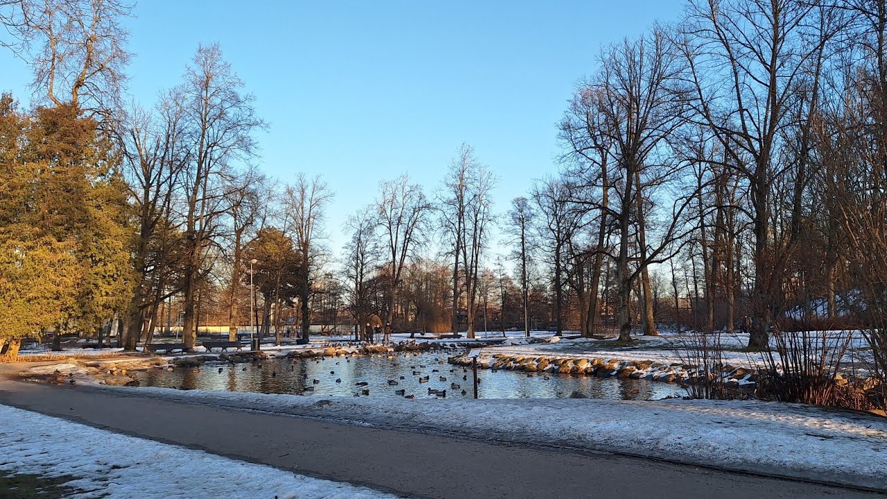 Кормим уточек.🦆🦆🦆