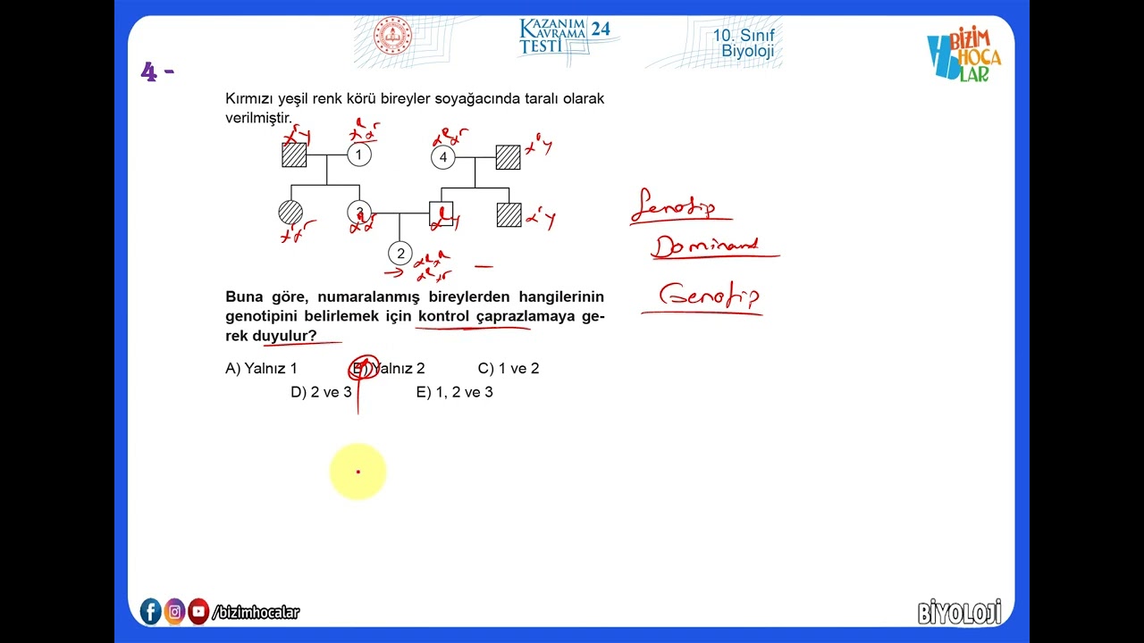 10. Sınıf Biyoloji Kazanım Testleri-24 (2022 - 2023) Kalıtım -14