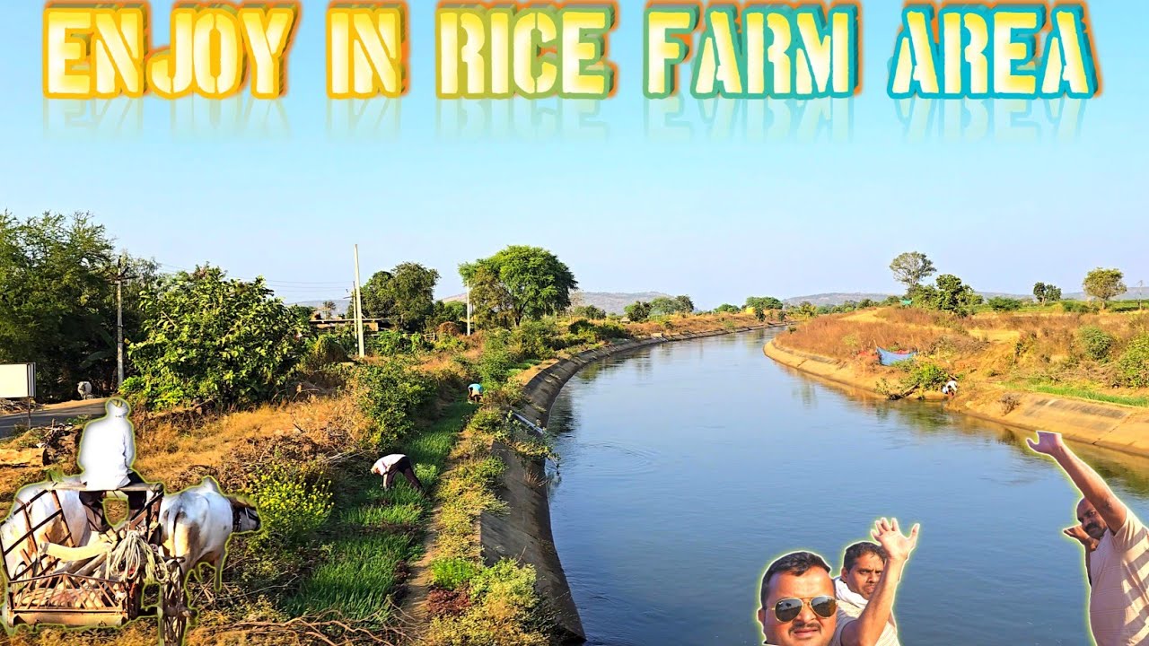 Enjoyed🕺 The Road 🛣️🚗And Environmental ⛰️🏞️Views Of Rice Area Ramtek And Mouda Talukas🏝️In 2026