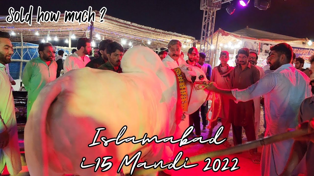 i 15 Mandi 2022 - Vip Tents Opening - Cow Mandi 2022 - Bakra Mandi 2022 - Fateh Jang Bulls 2022