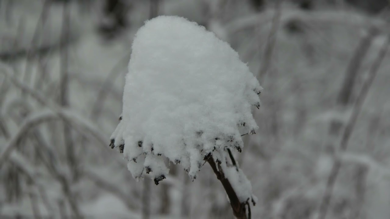 Песня 