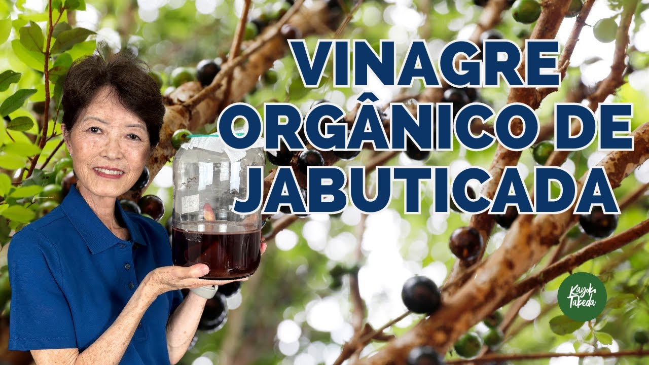 VINAGRE ORGÂNICO  DE JABUTICABA - Como Fazer e Benefícios